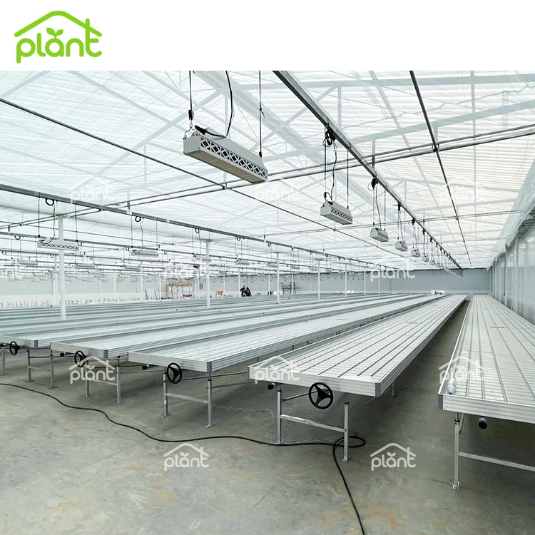 Greenhouse Ebb and Flow Adjustable Flood Rolling Tray Tables for Sale