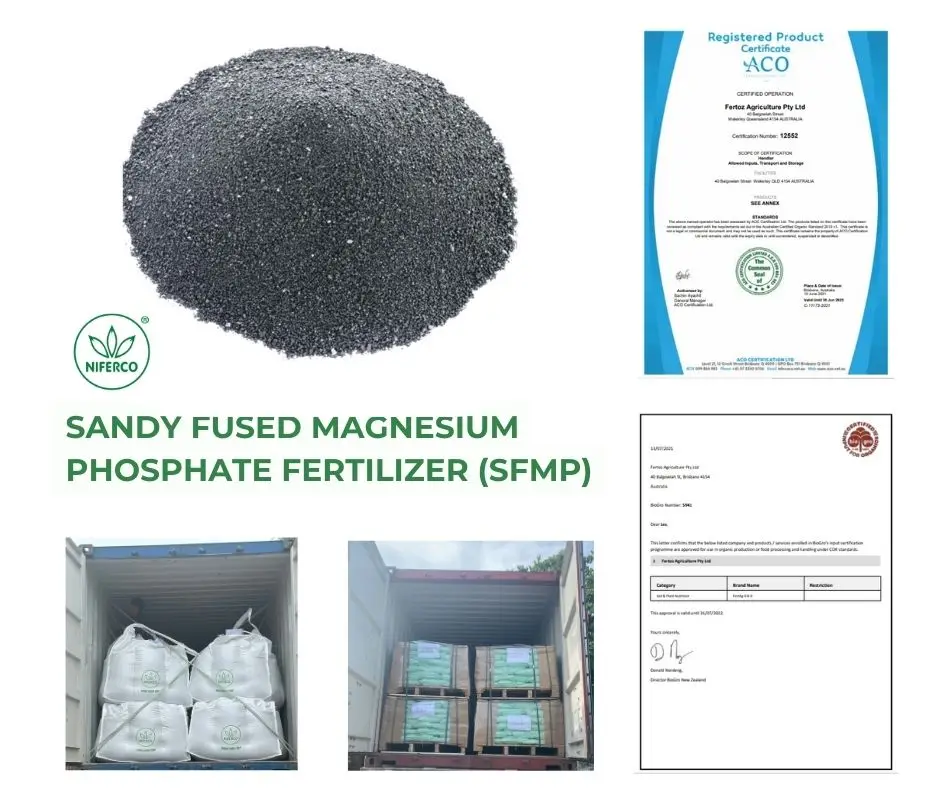 Sandy Fused Magnesium Phosphate Fertilizer Good Price Supplements Fertilizer For Plants Custom Packing  Vietnam Manufacturer