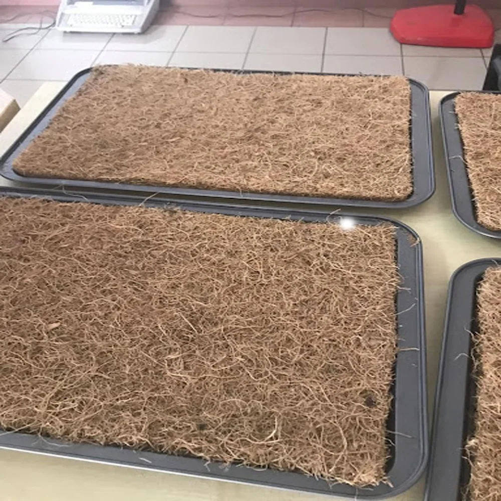 Hot Sale Export Quality Natural Coconut Grow Mat for Micro-greens Germinating Seeds