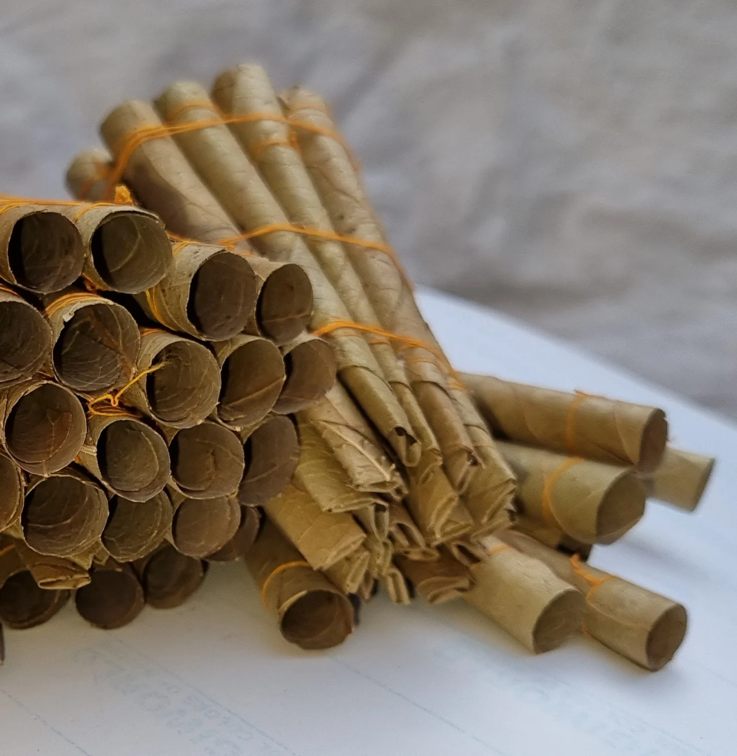 Smoking tip and Top of UN-Filtered Tendu Pre Rolled Leaf.jpg