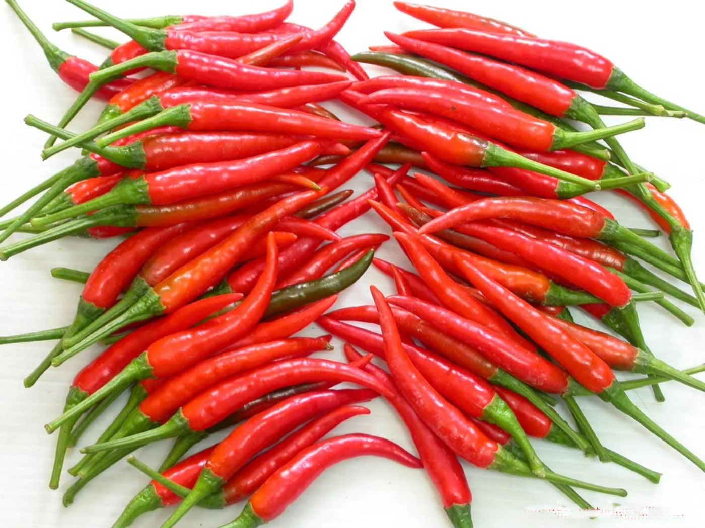 Top Sales From Vietnam Low MOQ Custom Logo Fresh High Quality Good Price Package Red Chili