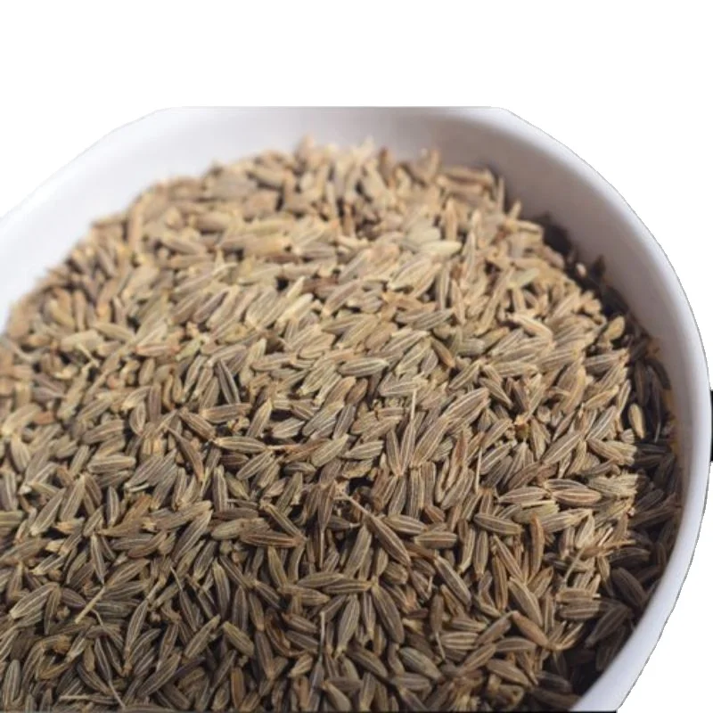 cumin best cumin buy price for cumin indian exporters