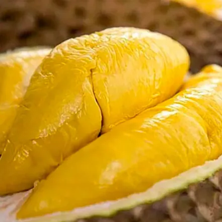 High Quality Fresh Durians from Vietnam Competitive Price Product