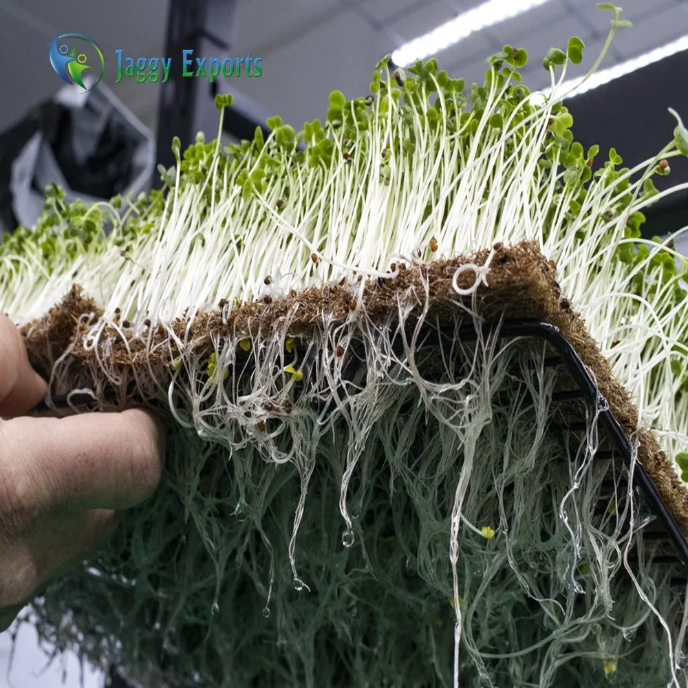 COIR MICROGREEN GROW MATS / GREEN GROW MAT / COCONUT GROW MATS