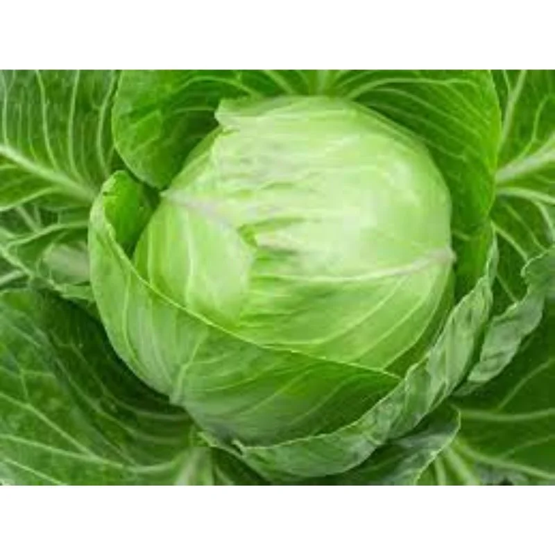 Зеленая капуста чудо-оп