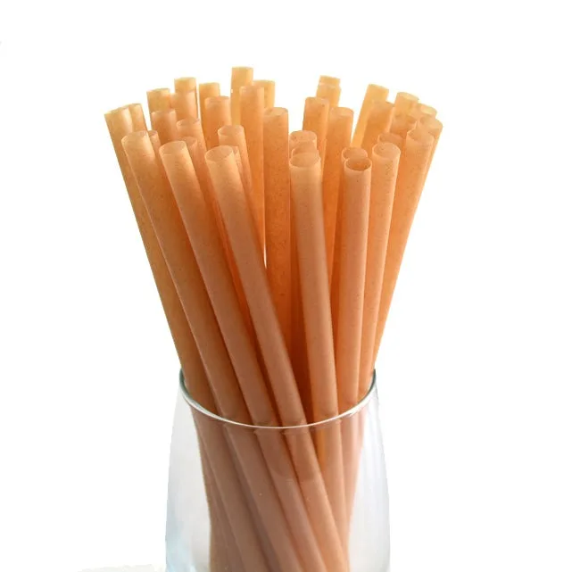 Trending Drinking Straws Non PLA Sugarcane Straws Wholesales Hot Sales With Cheapest Price
