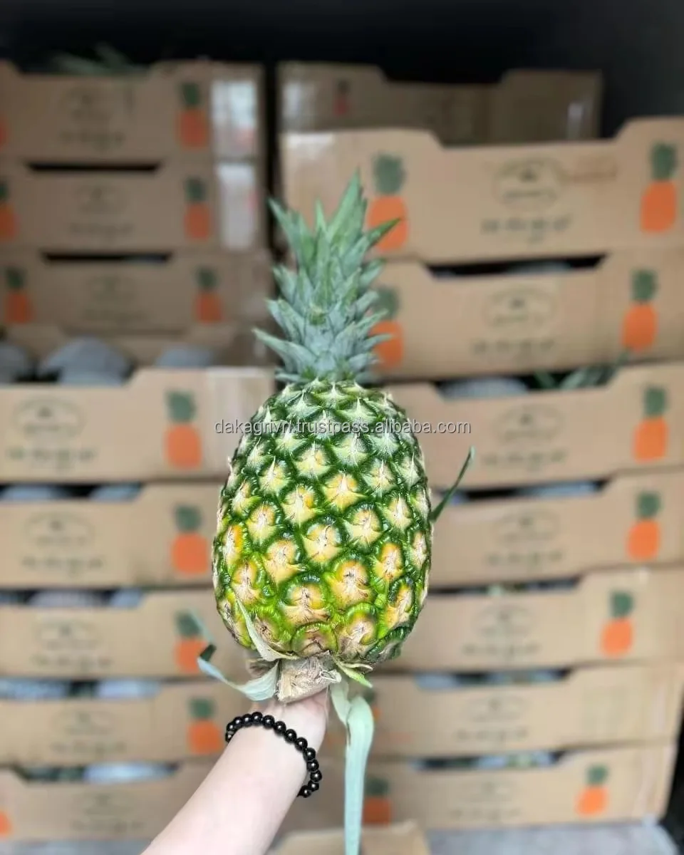 MD2 Pineapples Food Beverage Fresh Natural Sweet Cool Storage Tropical & Sub-Tropical Fruit From Vietnam