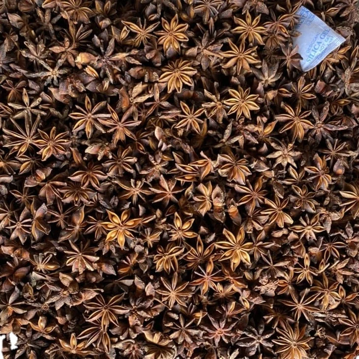 Осенний Звездный анис для приготовления пищи или украшения вьетнамской упаковки в 10 кг хорошего качества с высоким содержанием масла