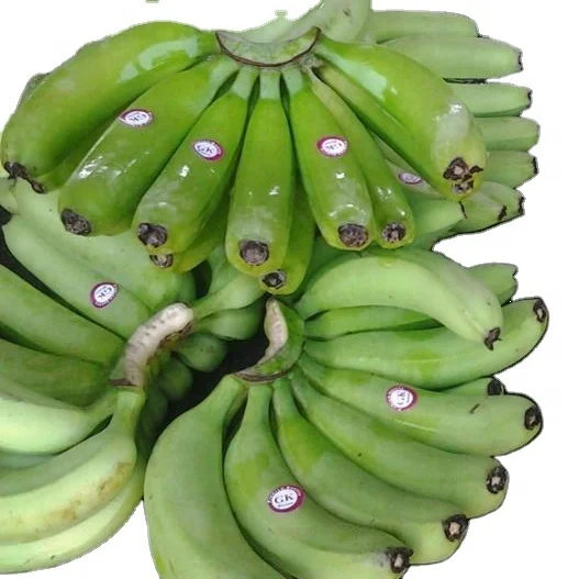 THE PREMIUM FRESH CAVENDISH BANANA