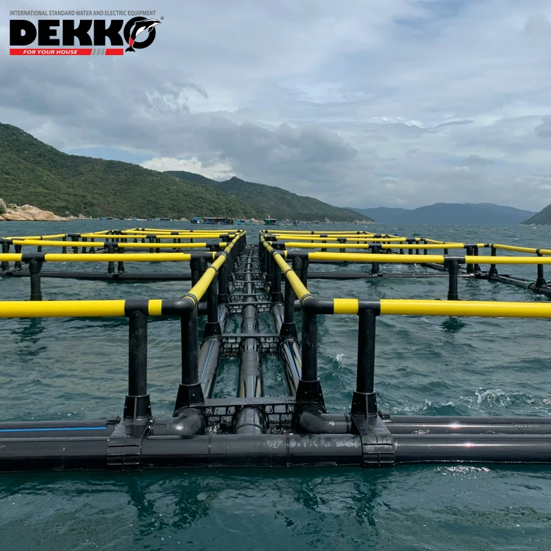 DEKKO Cheap price Tilapia hdpe floating aquaculture cage fish farming cage Double tube square fish cage for Tilapia Fish Farming