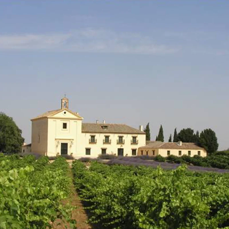 Испанское Красное вино высшего качества Rioja Lagunilla бронированного 1 коробка содержит 6 бутылок Оптом