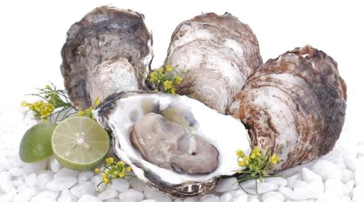 
1KG Weight Catch Area Bulk / Vacuum Pack Frozen Style Bivalves (oyster) origin from Vietnam 