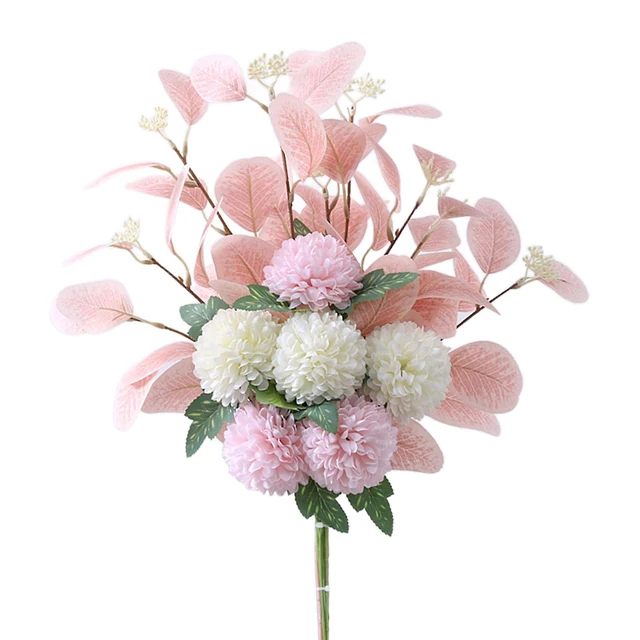 Vietnam Good Price for Chrysanthemum Constellation Pingpong Variety Mesmerizing Display Form Flower