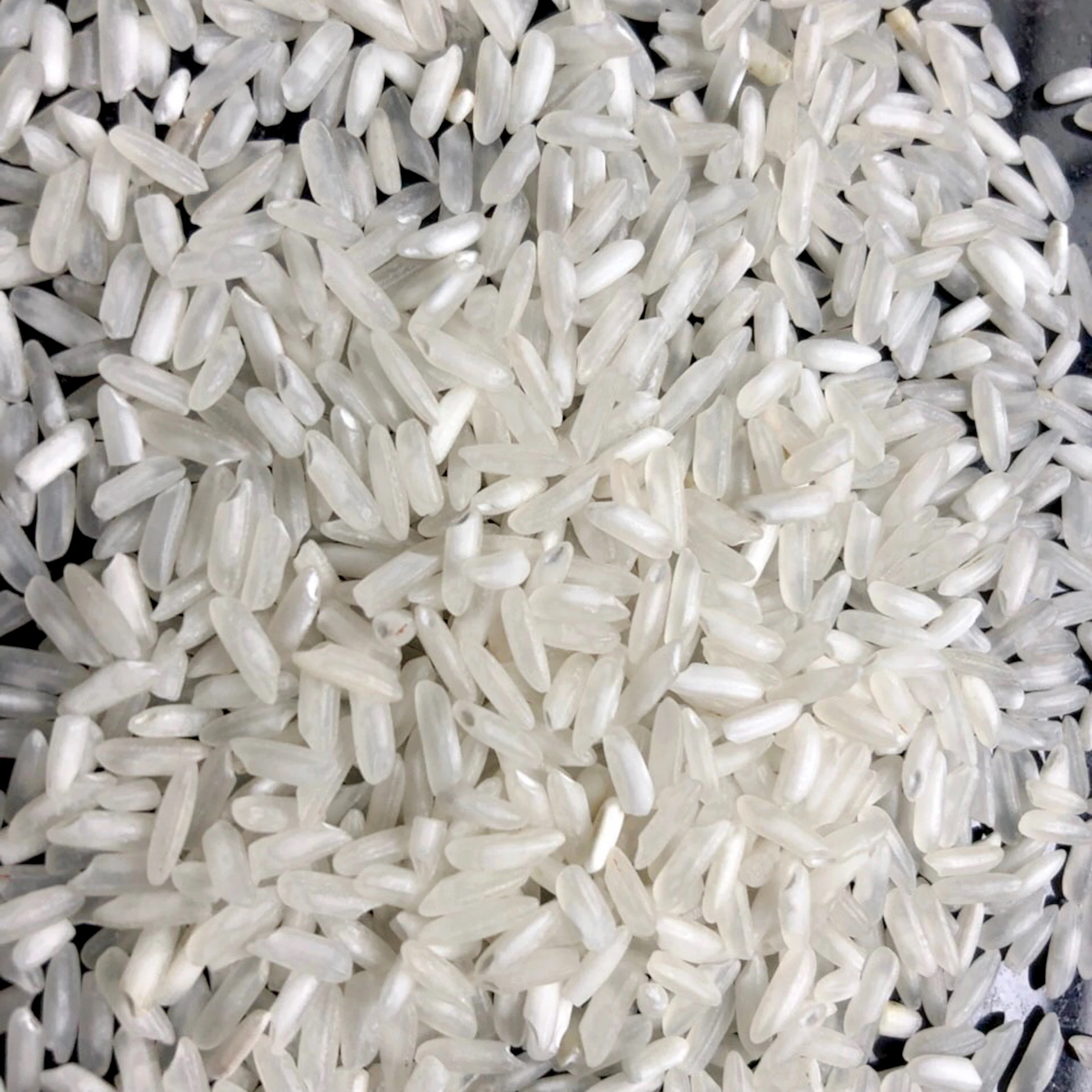 Vietnam Long grain white rice 5% 10% 15% 25% 100% Broken White Rice Bags 504 rice at Low Market Price - JANE LEE + 84968234538