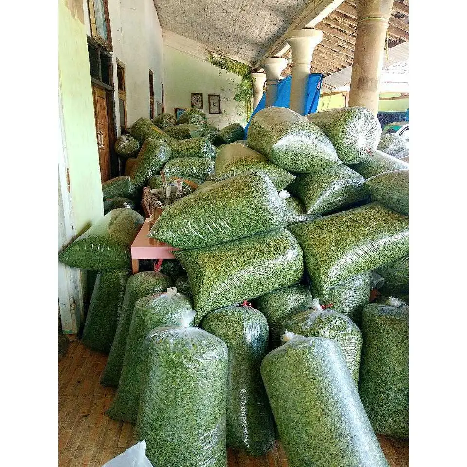 Лист Моринги