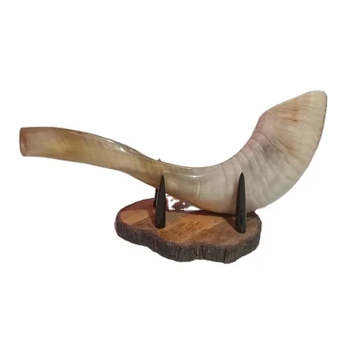 100% Natural Sheep Ram Horn Polished Shofar
