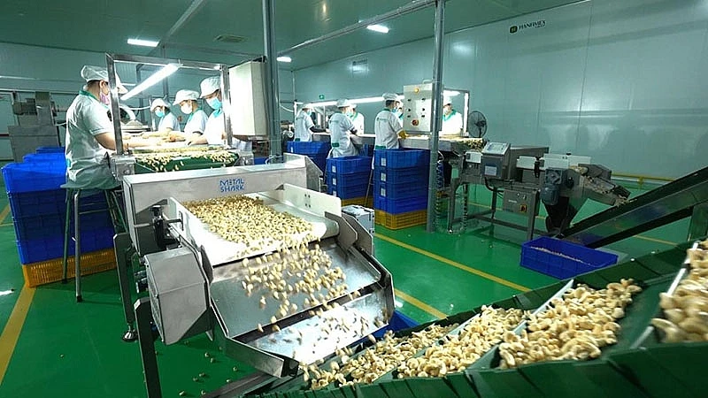 Wholesale High Quality Cheap Benin Cashews Wholesale Organic Raw Cashew Nuts For Good Health +84368591192 Mr. Henry
