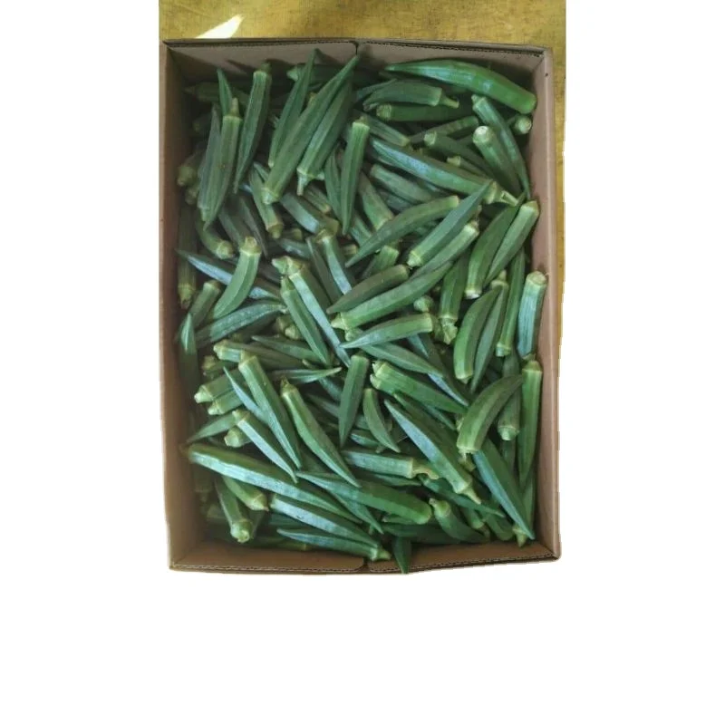 Темно-зеленый Окра/окро на экспорт для зеленой