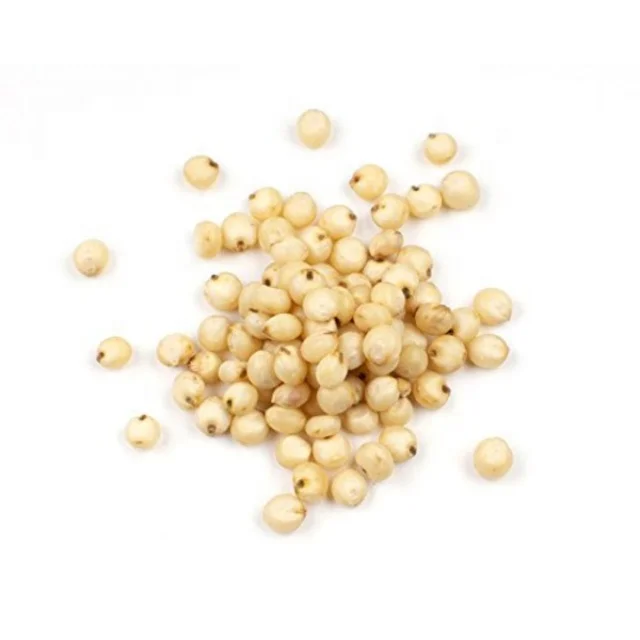 Sorghum Grains and Good Quality Red White  Sorghum