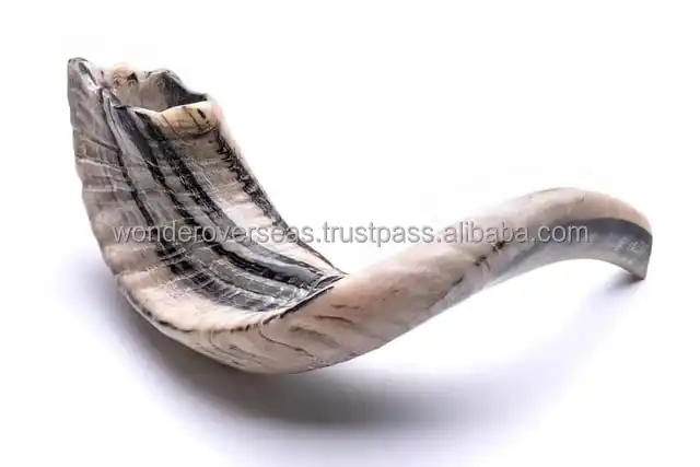 Natural Black Sheep Horn Polished Shofar for Customized Size Cheap Price With Handmade Use for Hot Sale Product BYWONDEROVERSEAS