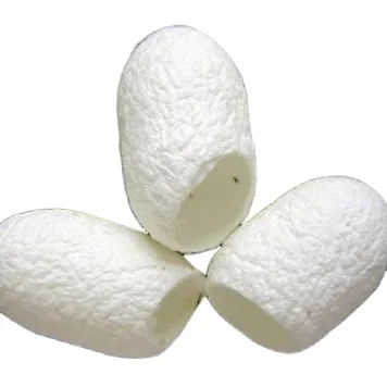 RAW SILKWORM COCOON CLEANED FOR FACIAL CHEAP PRICE/NATURAL SILKWORM COCOON FOR MAKING YARN FIBER FROM VIETNAM
