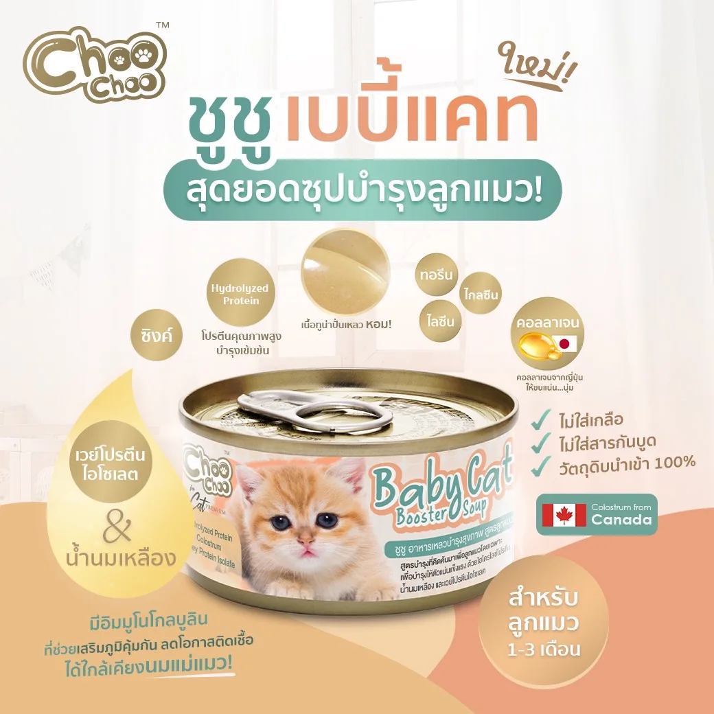 The Best Seller Choo Choo Baby Cat Booster Soup with Whey Protein Isolate and Colostrum