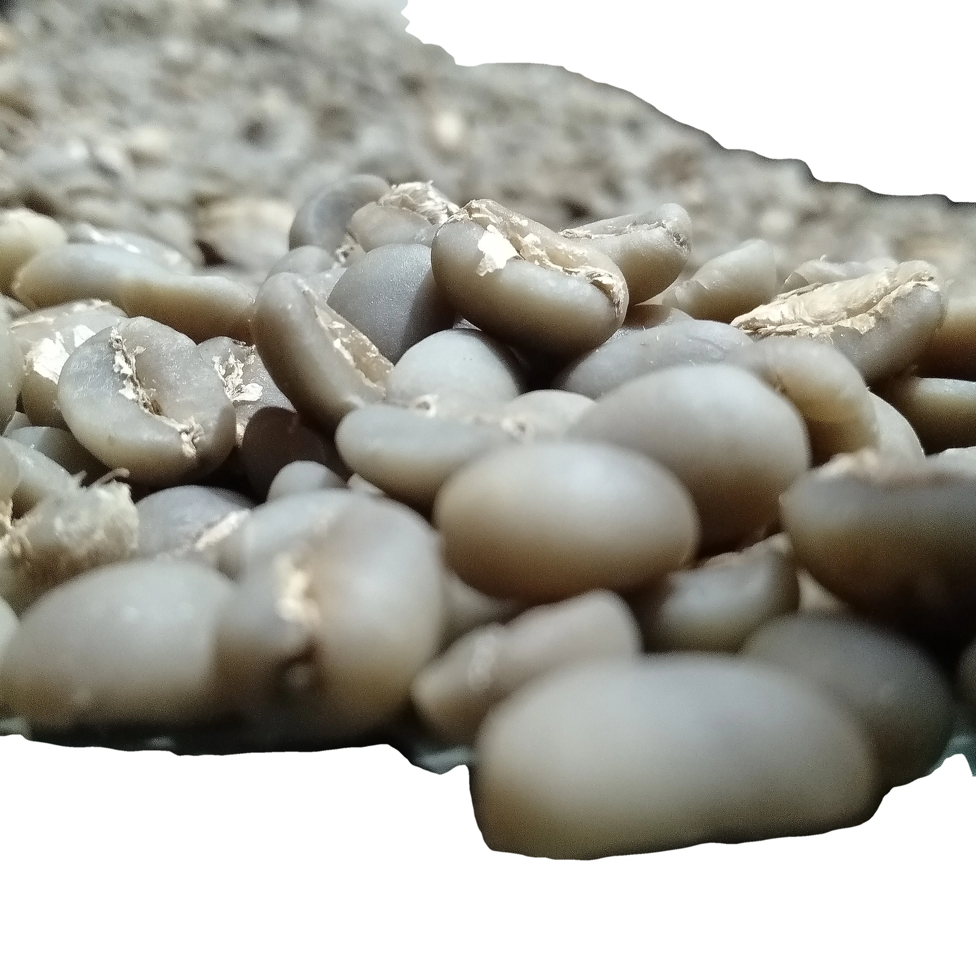 Indonesia green coffee beans arabica coffee green beans ready to export wholesale whole beans coffee organic produk indonesia