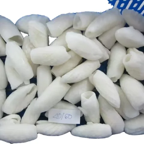 WE SUPPLY FROZEN SQUID TUBE CUTTLEFISH TUNA FILLETS