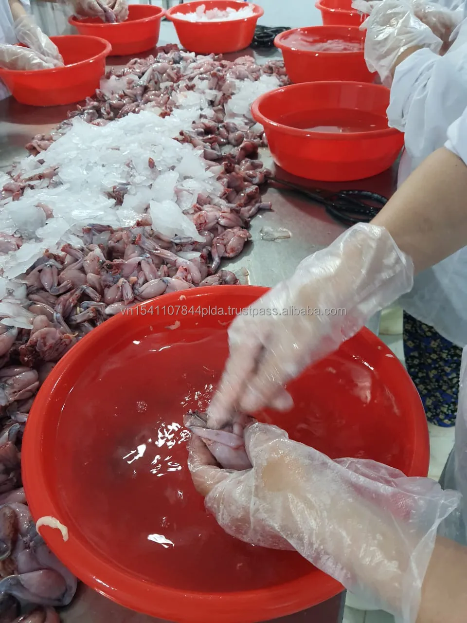 
Wholesale Export Frog Legs Frozen Food - no chemicals 