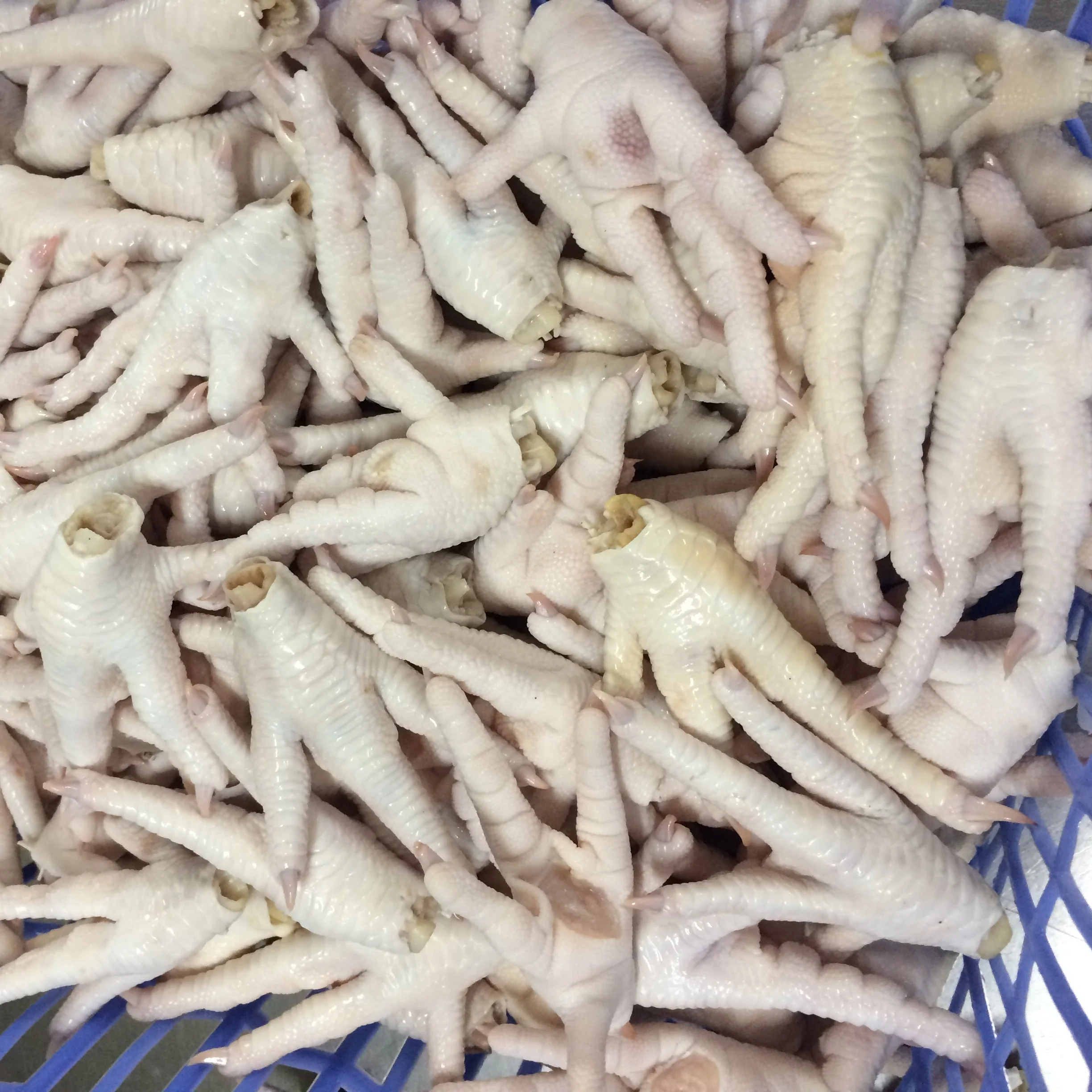 Best quality chicken feet chicken boneless frozen chicken feet for China Hong Kong market Origin Vietnam