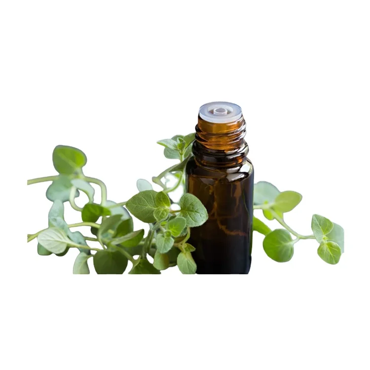 Highest Quality Bulk Factory Direct Supply 100% Pure and Organic Oregano Essential at Best Market Price