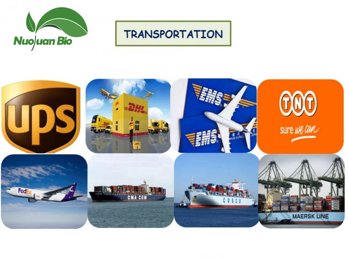 transportation