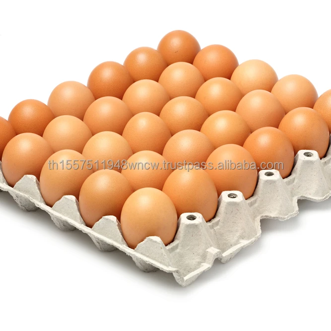 Chicken Eggs Ostrich Eggs, Chicken Eggs, Turkey Eggs Fresh Table Eggs Brown And White Farm Fresh Chi