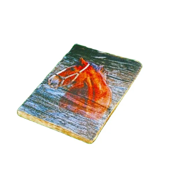 unique diaries office supplies paper notebooks  - Collectible Deluxe Gift Edition - Hardcover - Best Wholesaler - Classic Book