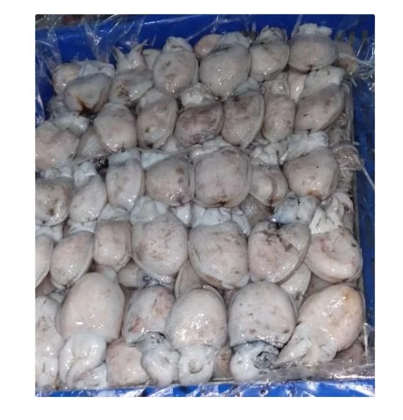 FROZEN BABY CUTTLEFISH WHOLE