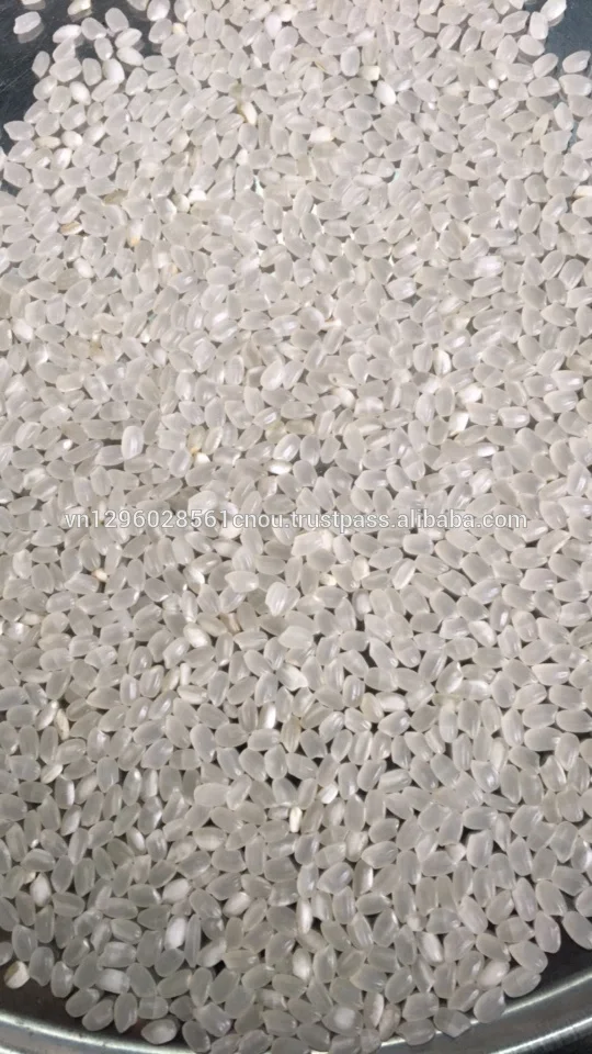 BEST SELLING CAMOLINO MEDIUM-GRAIN RICE FROM VIETNAMESE SUPPLIER- ANNA DO W/A+84982153058