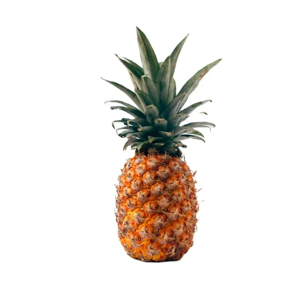 Premium Grade Natural Sweet Fresh Fruits 100% Pure Pineapple Best For Canned Pineapple Pineapple From Bangladesh