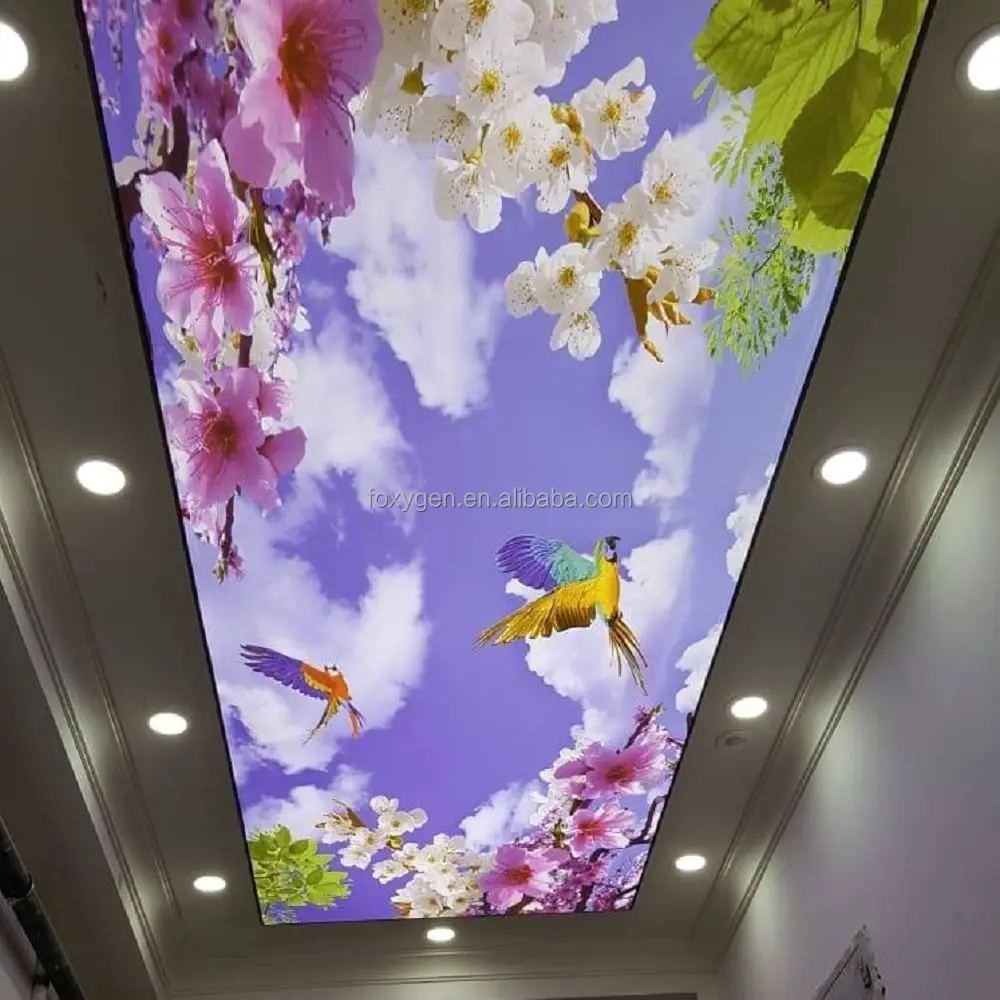 stretchceiling (4)