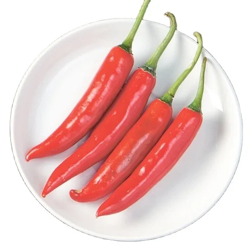 SPICE-RICH FRESH CHILI PEPPERS / PERFECT FOR SAUCES & MARINADES / MADE IN VIETNAM