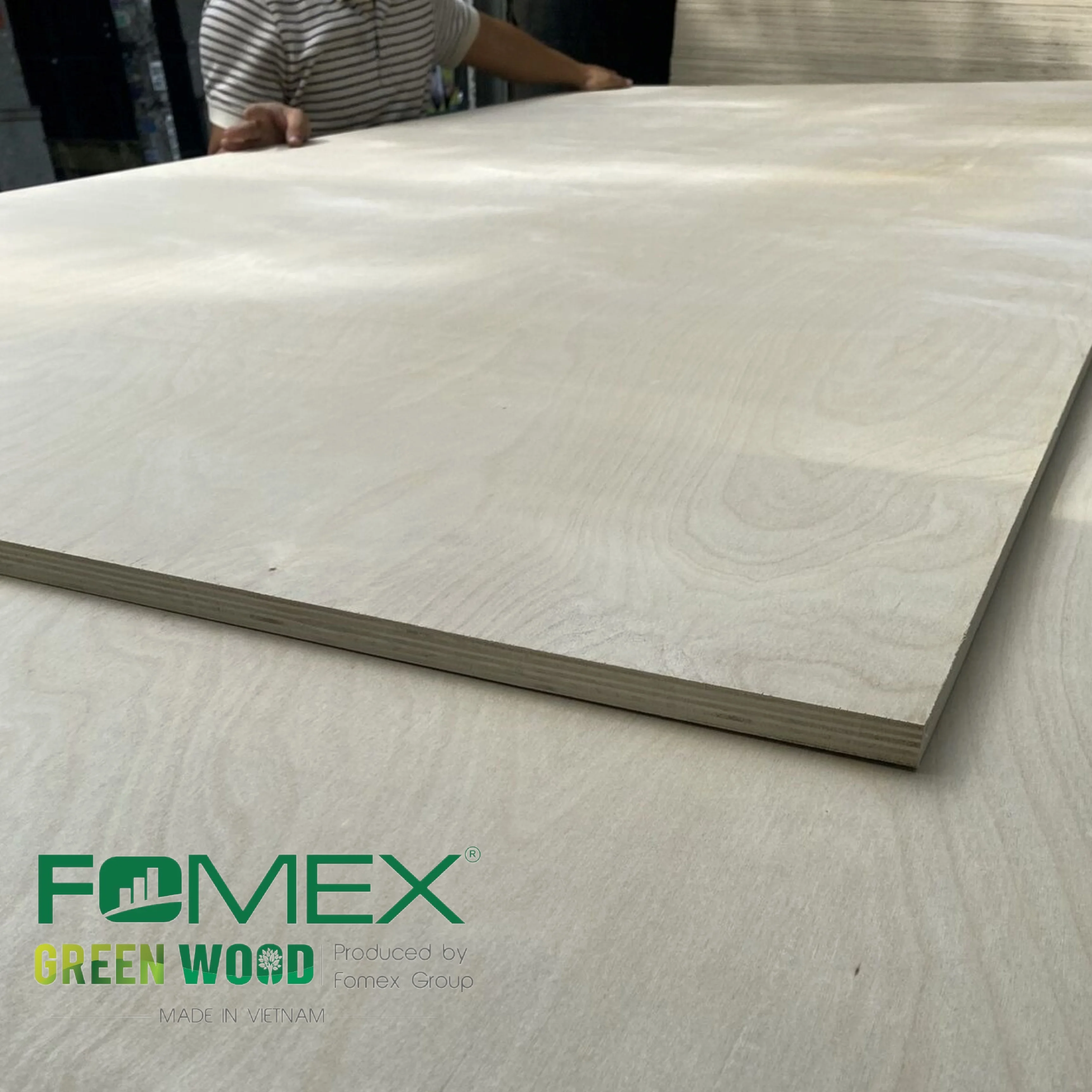 Birch Plywood for making Furniture Eucalyptus Core 12-21 mm