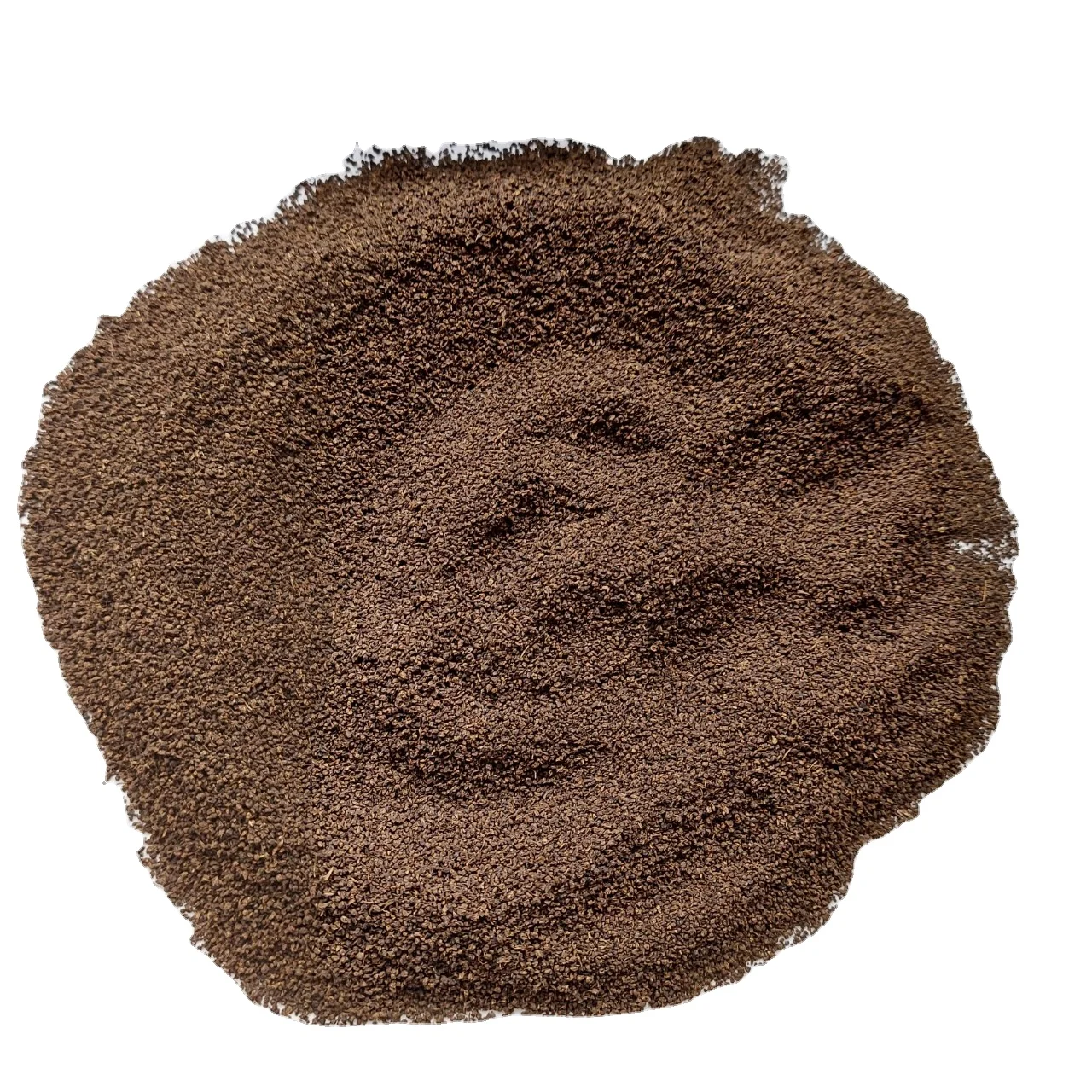 Green tea OP double- fermented specialty Tea Leaf Best