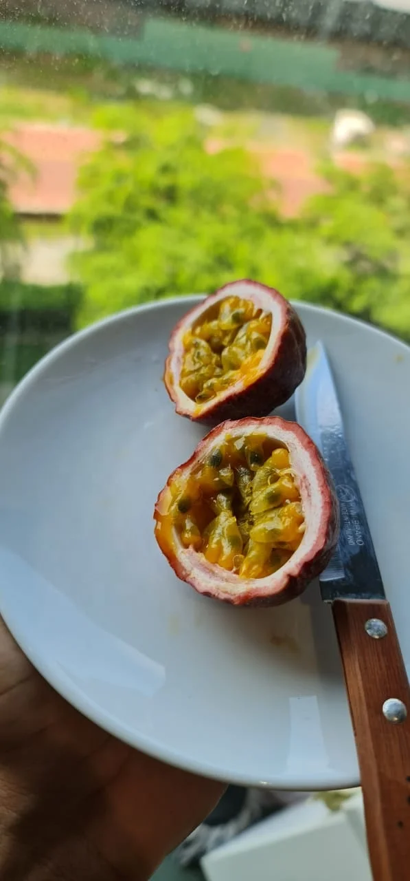 Strong Sour sweet FROZEN passion fruit juice from Vietnam 