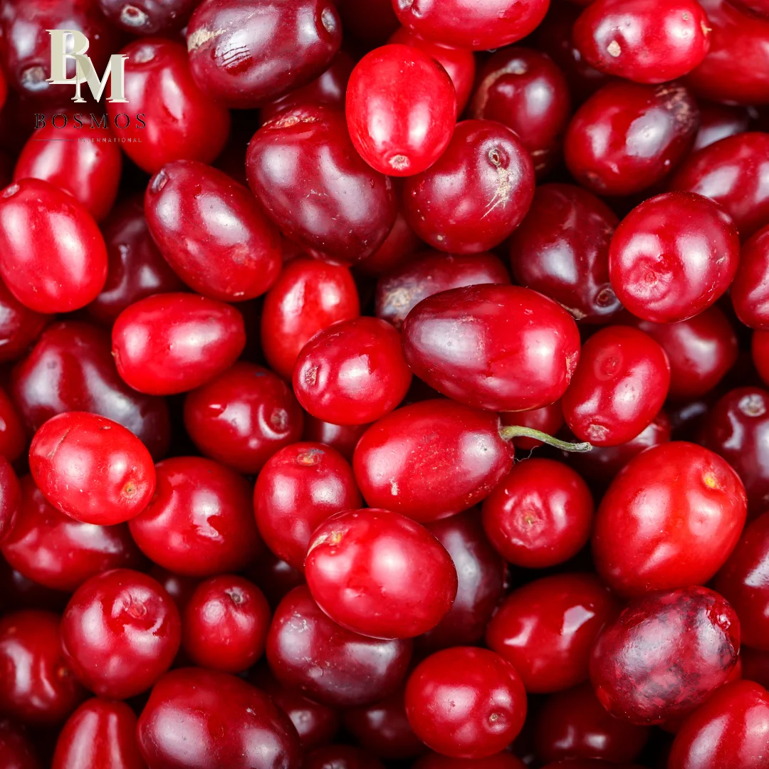 Bosmos_ Cranberry syrup 2.5kg - Best Taiwan Bubble Tea Supplier, Concentrated Syrup bubble tea