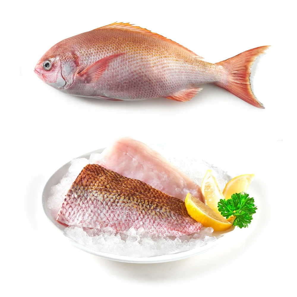 Weight Shelf Freeze Origin Life Shape FRESH RED SNAPPER FROZEN