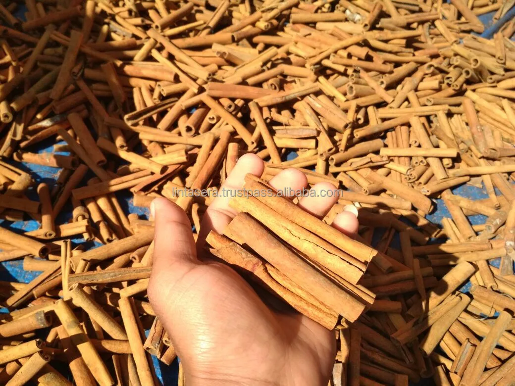 Best Source High Export Quality Cinnamon