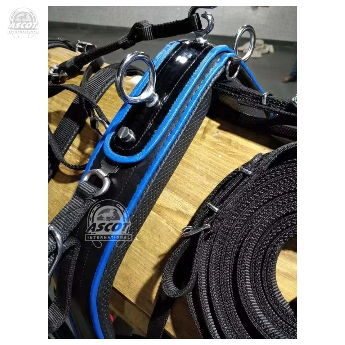 Wholesale premium polyester Horse racing Harness set durable with brass ss fittings top Indian supplier