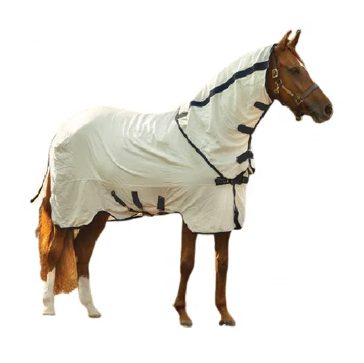 Combo Horse Summer