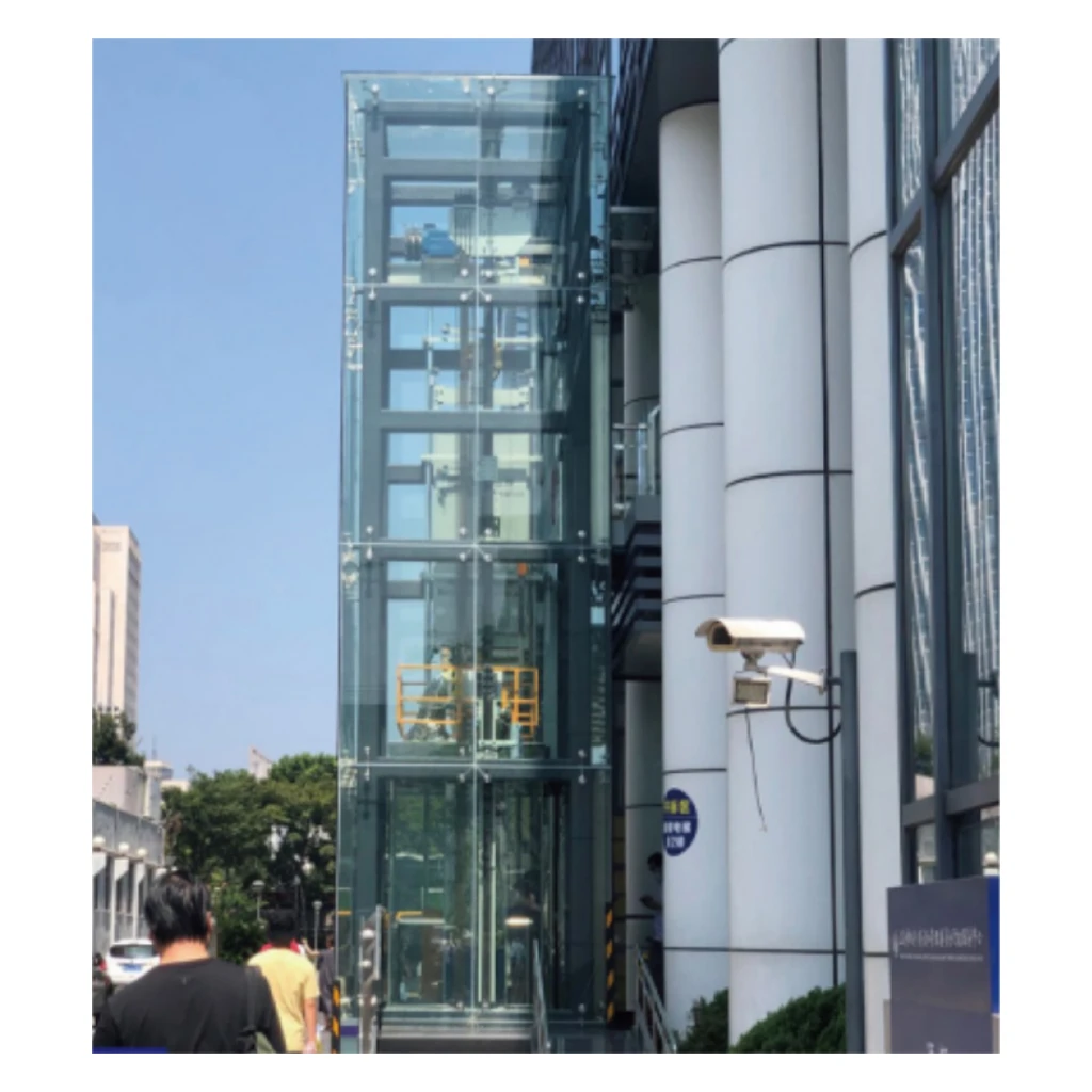 China Elevator Manufacturer Cheap Residential Outdoor Panoramic Passenger Elevator for Sale
