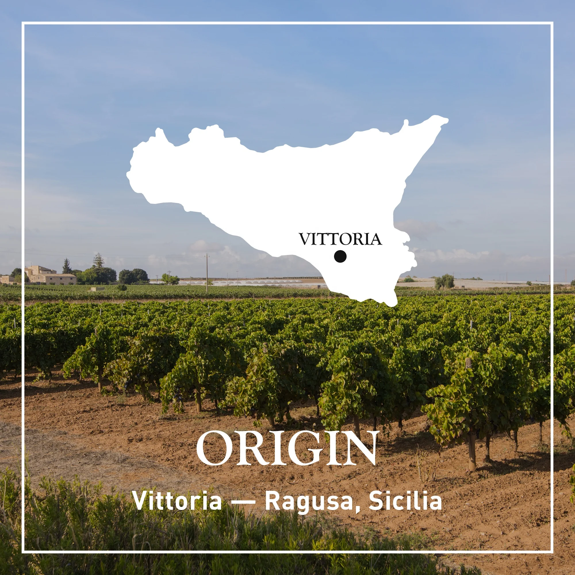 Органическое винтажное красное вино красный орнамент 750 мл земля Siciliane IGP Джузеппе Верди выбор био Сделано в Италии