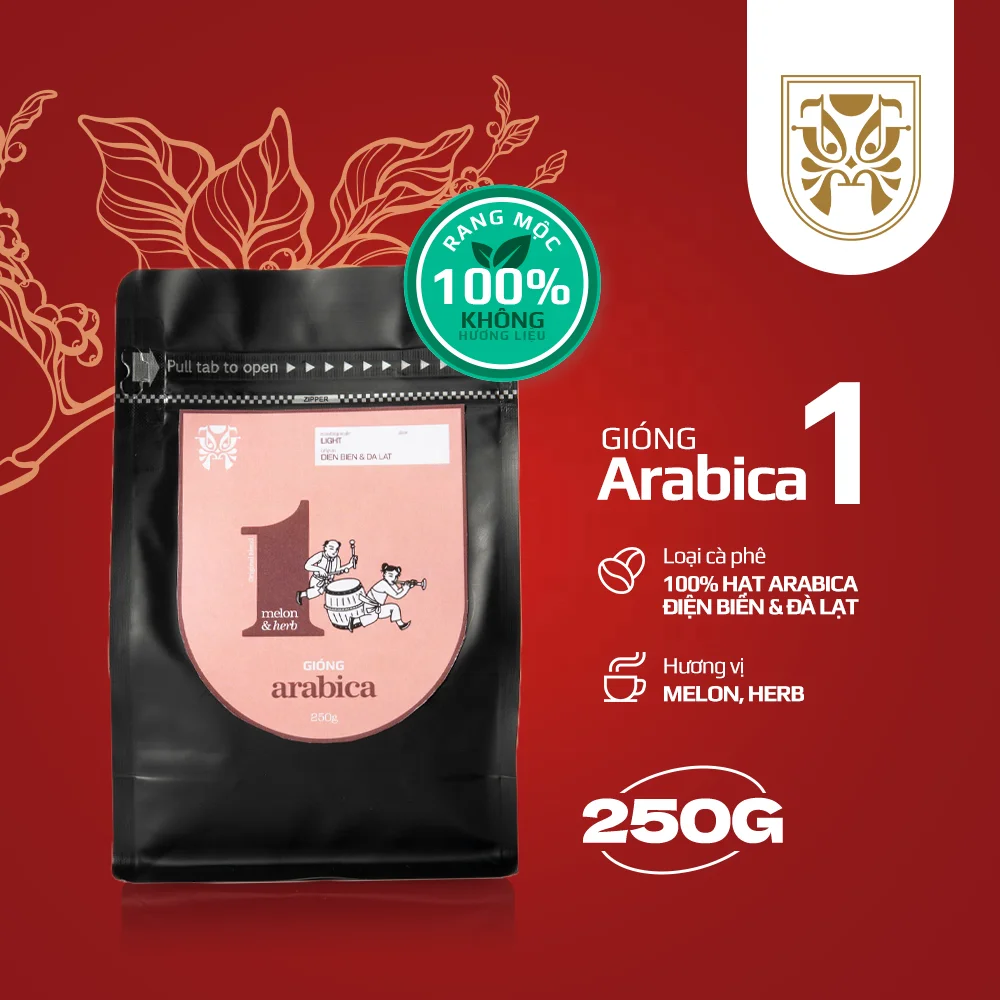 100% Высококачественные жареные кофейные зерна из арабики GIONG Blend 1 лечебный кофейный легкий жареный в цельных Зернах